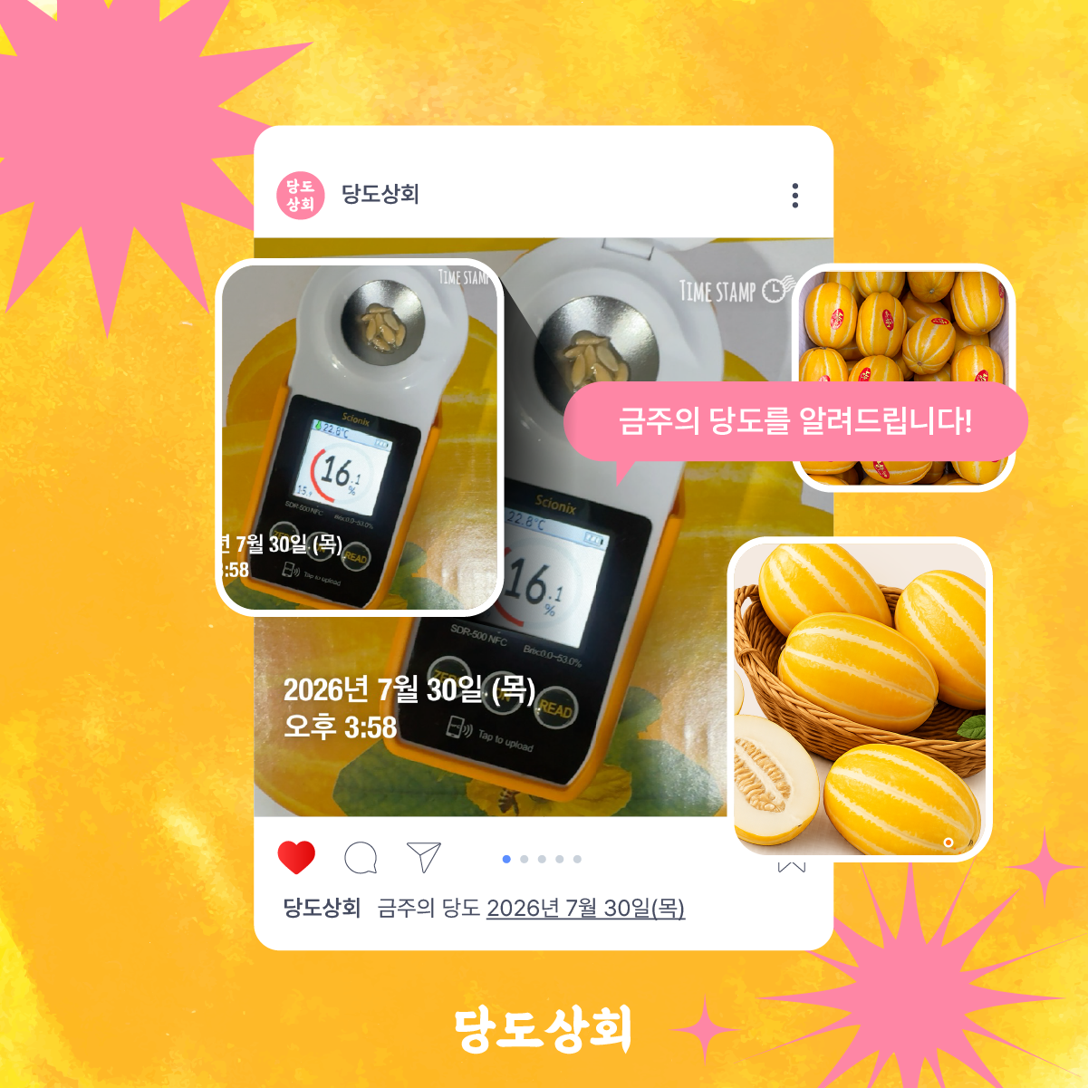 ★리뷰이벤트★ (농할) [당도상회] 15브릭스 보장 성주 참외 고당도 산지직송 꿀참외 1.5kg/3kg/5kg