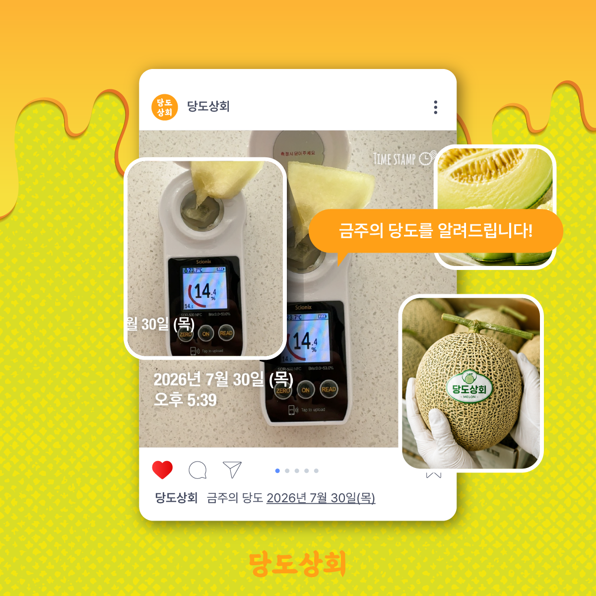 ★신선위크★ (농할) [당도상회] 국내산 머스크 메론 멜론 1수/2수/3수 (1수당 2kg 내외) ★리뷰이벤트★