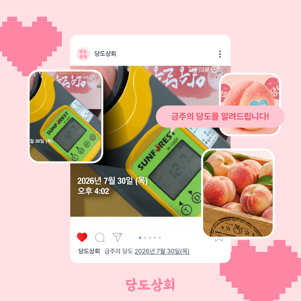 (농할) [당도상회] 국내산 달달한 딱딱이 백도 복숭아 중과 1kg/2kg ★리뷰이벤트★