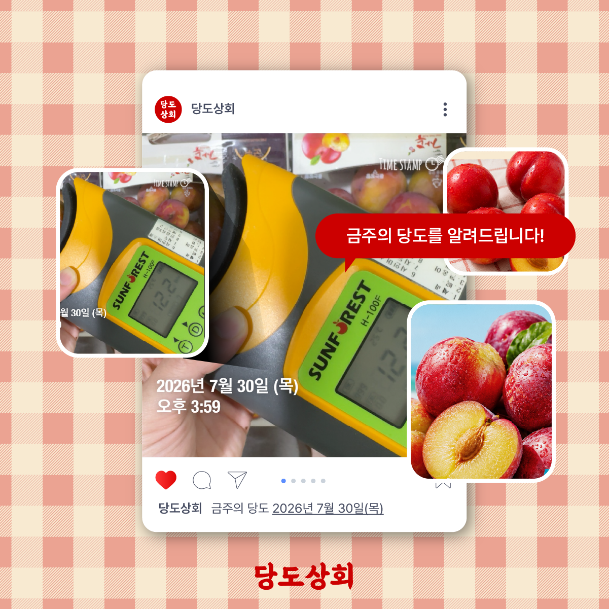 ★리뷰이벤트★ (농할) [당도상회] 국내산 12브릭스 여름제철 꿀자두 500g/2kg