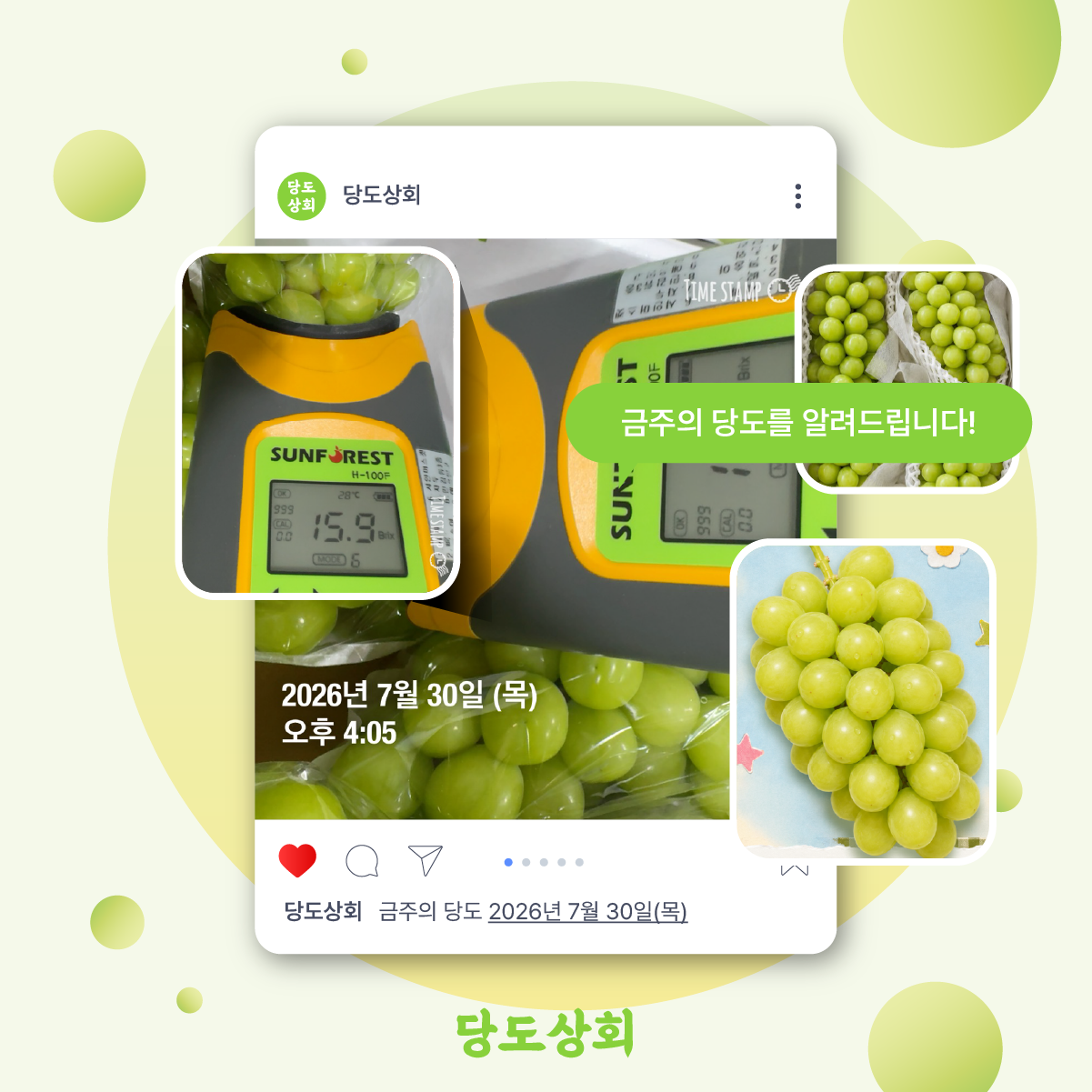 (농할) [당도상회] 15브릭스 이상 샤인머스켓 2kg ★리뷰이벤트★