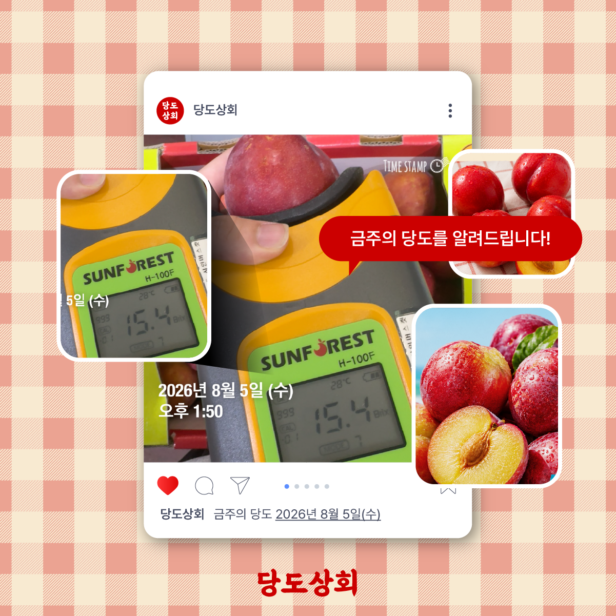 2608_2weeks_plum.png