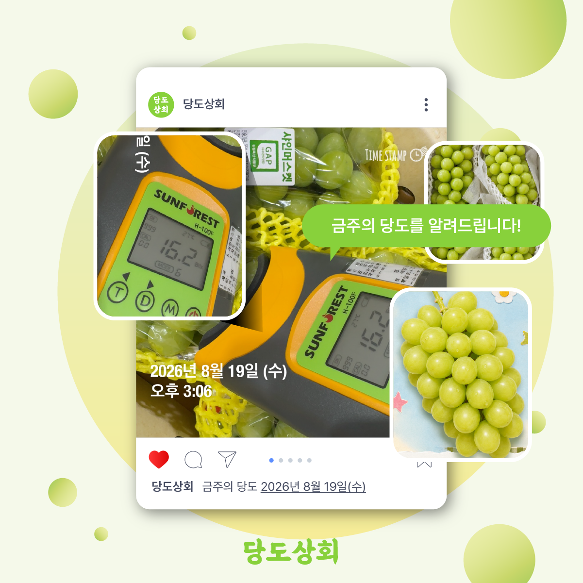 2608_3weeks_shinemuscat.png