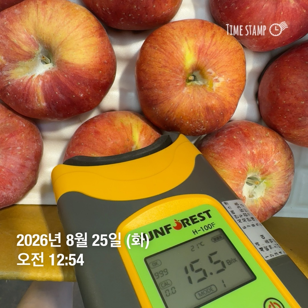 (농할) [당도상회] 26년 햇사과 15브릭스 보장 경북 고당도 산지직송 사과 1.5kg/3kg/5kg
