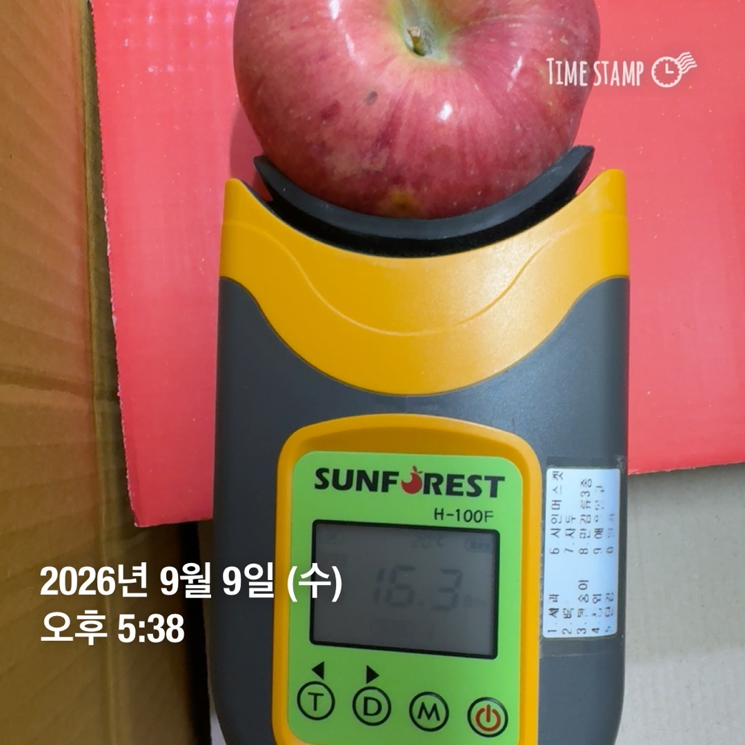 brix_2weeks_apple.jpg