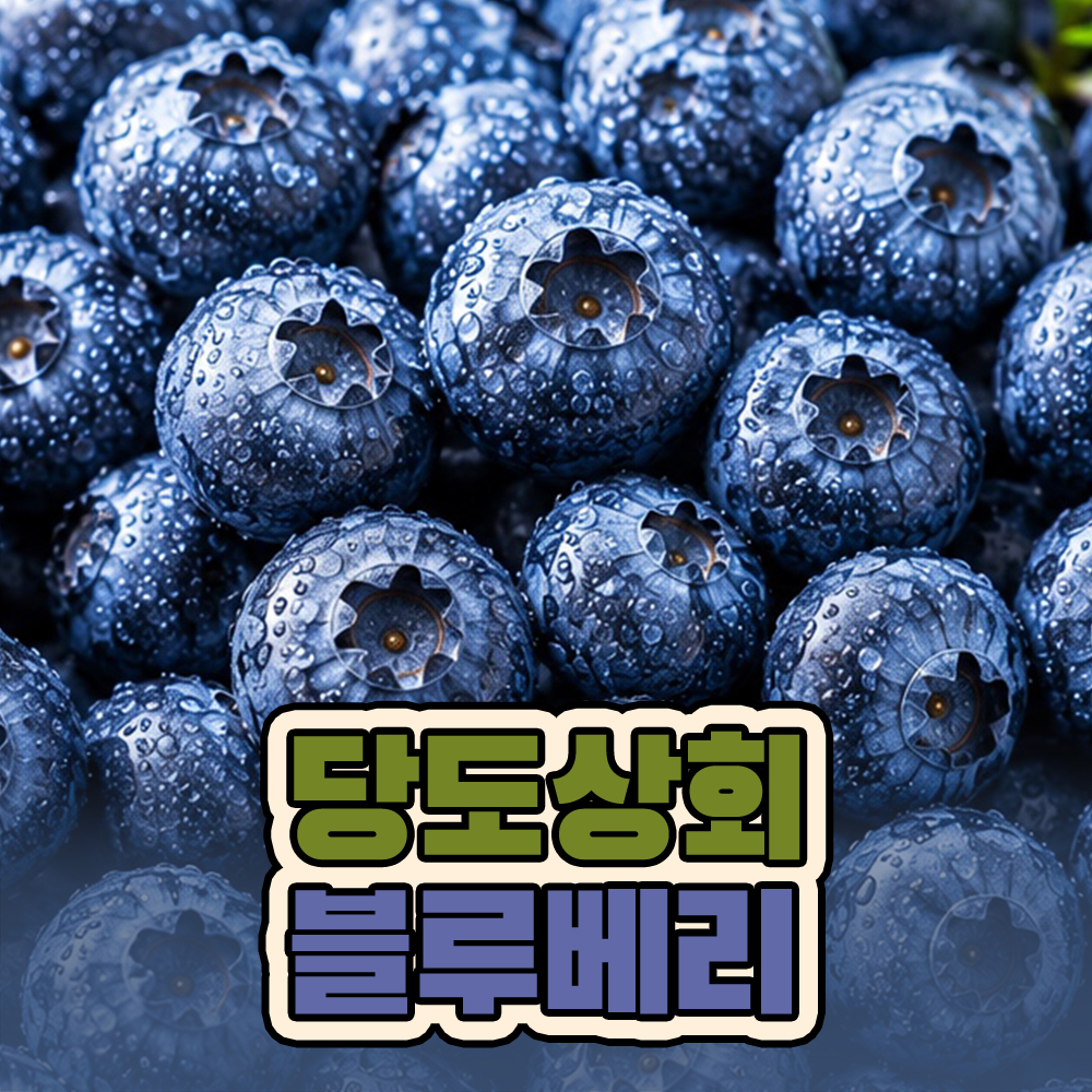 ★리뷰이벤트★ (농할) [당도상회] 국내산 생블루베리 (16MM이상 100g*2팩/4팩/6팩/10팩)