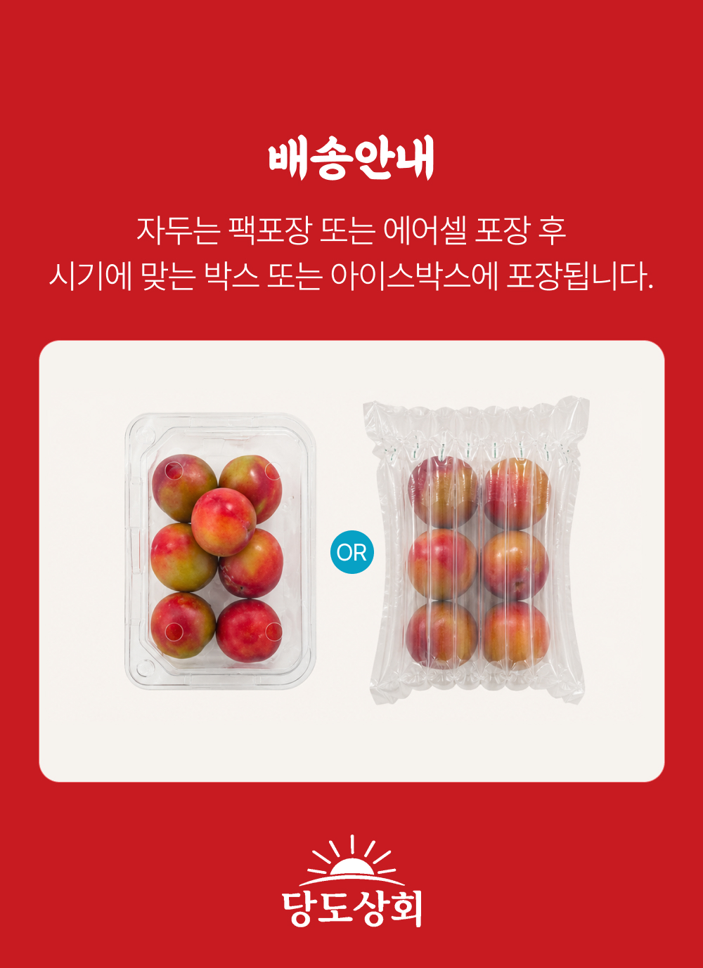 [당도상회] 국내산 12브릭스 여름제철 꿀자두 1kg/2kg/5kg