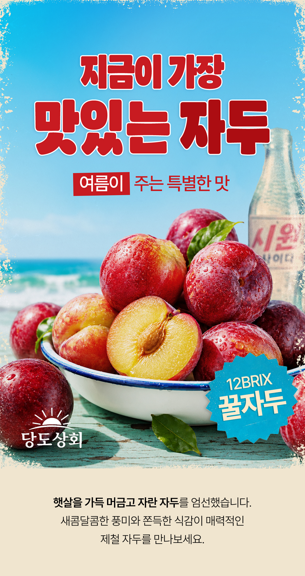 [당도상회] 국내산 12브릭스 여름제철 꿀자두 1kg/2kg/5kg
