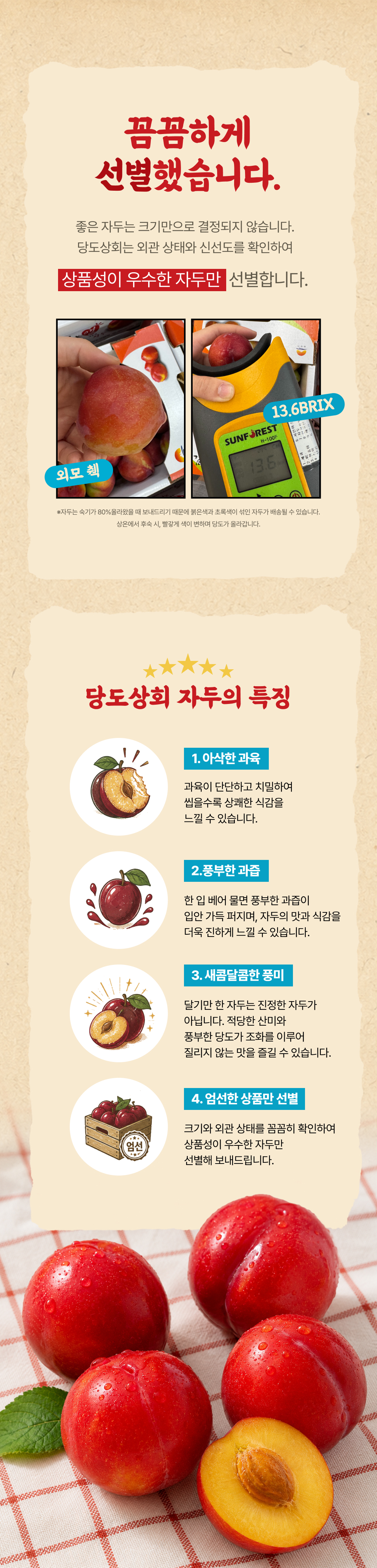 [당도상회] 국내산 12브릭스 여름제철 꿀자두 1kg/2kg/5kg
