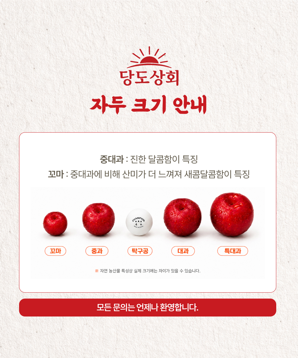 [당도상회] 국내산 12브릭스 여름제철 꿀자두 1kg/2kg/5kg