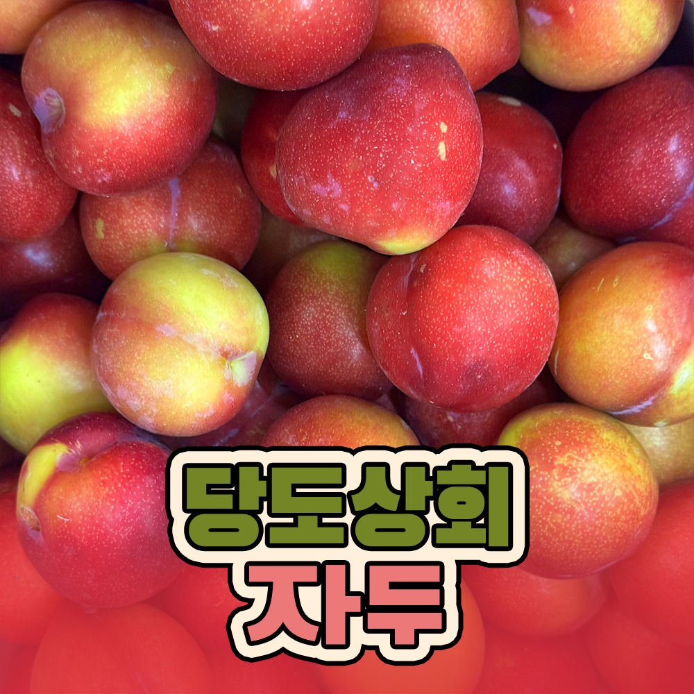 ★리뷰이벤트★ (농할) [당도상회] 국내산 12브릭스 여름제철 꿀자두 500g/2kg