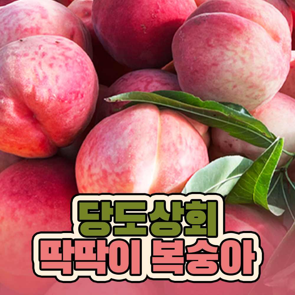 (농할) [당도상회] 국내산 달달한 딱딱이 백도 복숭아 중과 1kg/2kg ★리뷰이벤트★