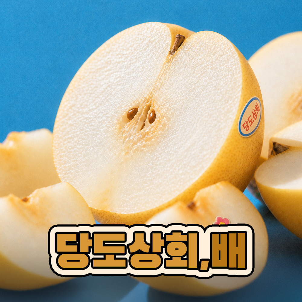  (농할) [당도상회] 국내산 26년 햇배 신고배 배 특품 가정용/정품/선물세트