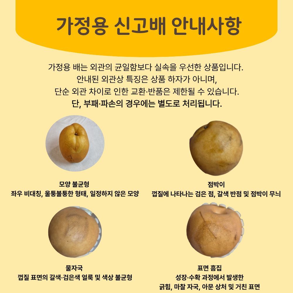 (농할) [당도상회] 국내산 26년 햇배 신고배 배 특품 가정용/정품