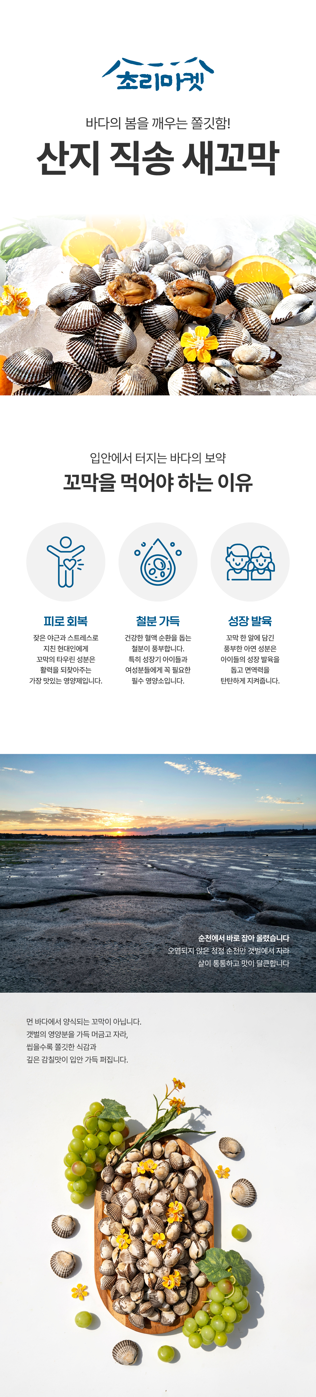 [초리마켓] 당일조업/당일출고 새꼬막 특/대/중/소 (2kg/3kg)