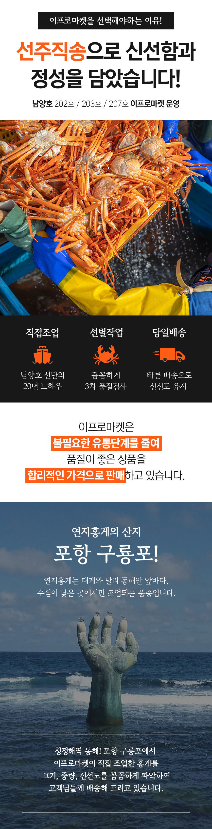 포항 선주직송 구룡포 제철 연지홍게 