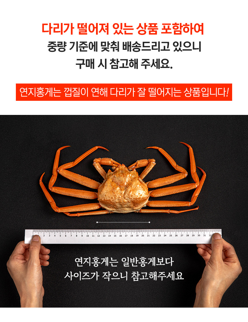 포항 선주직송 구룡포 제철 연지홍게 