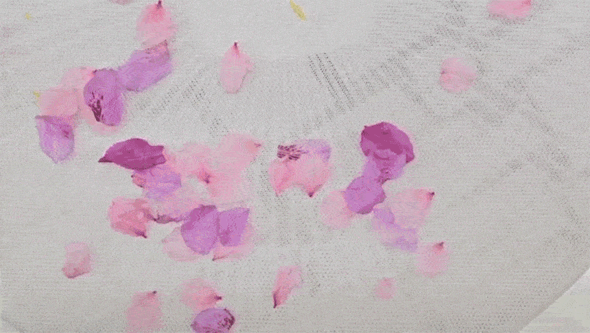 13.gif