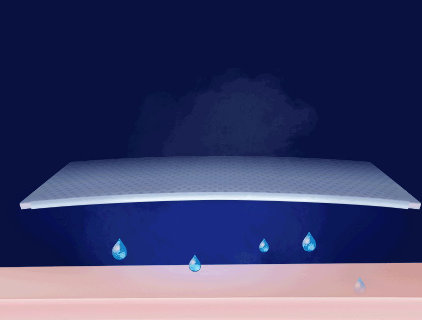 41.gif