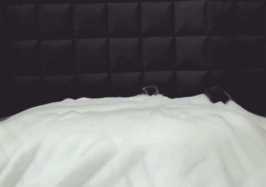 16.gif