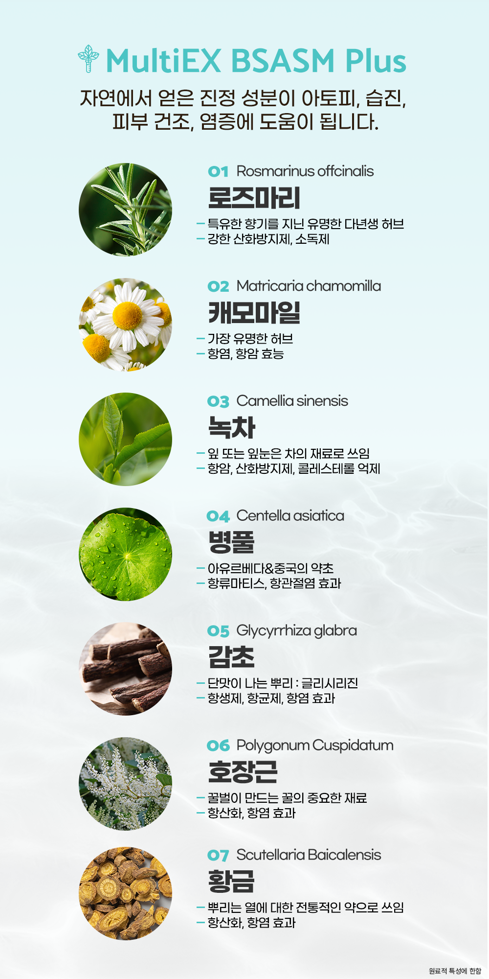 copy-1725426501-6.png