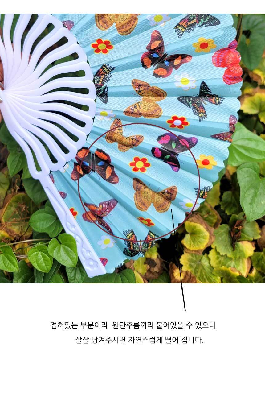 butterfly-fan03.jpg