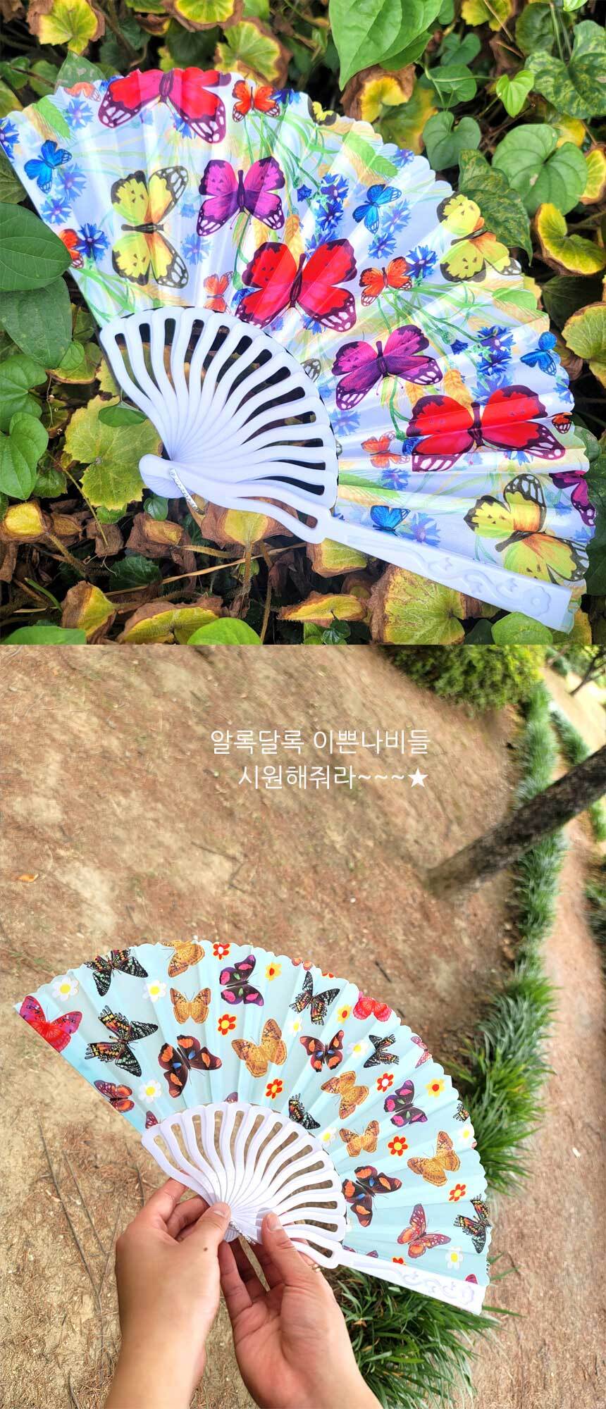 butterfly-fan077.jpg