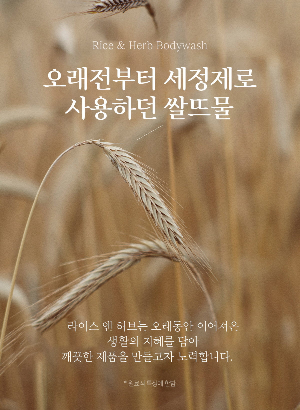 상품 상세 이미지입니다.