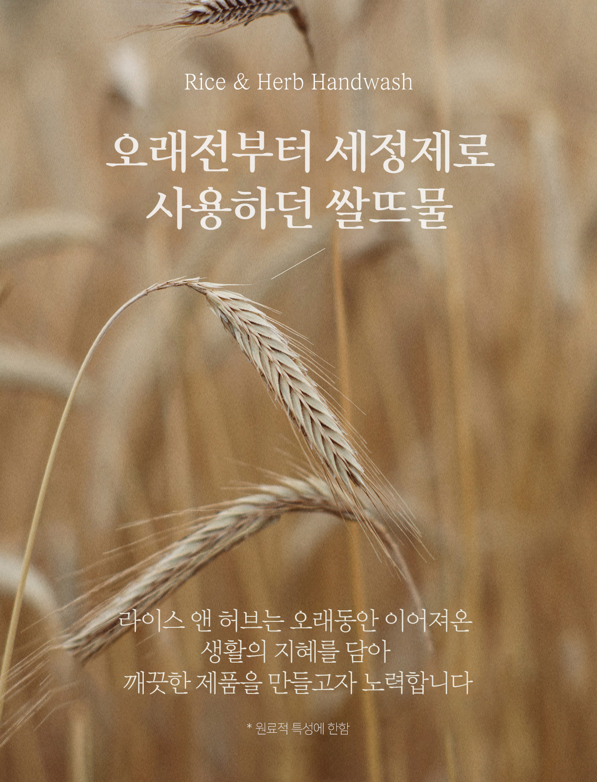 상품 상세 이미지입니다.