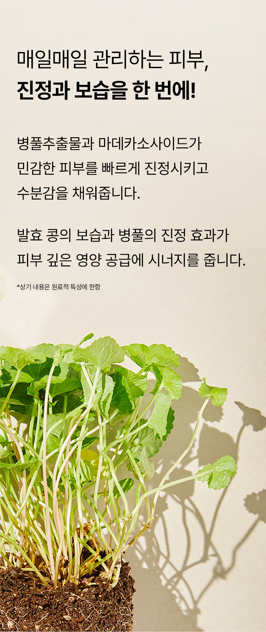 content-img-04