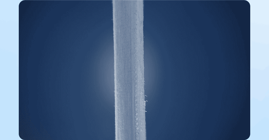 Angelbreeze_10.gif
