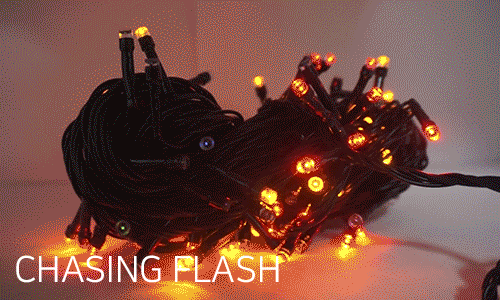 CHASING20FLASH.jpg