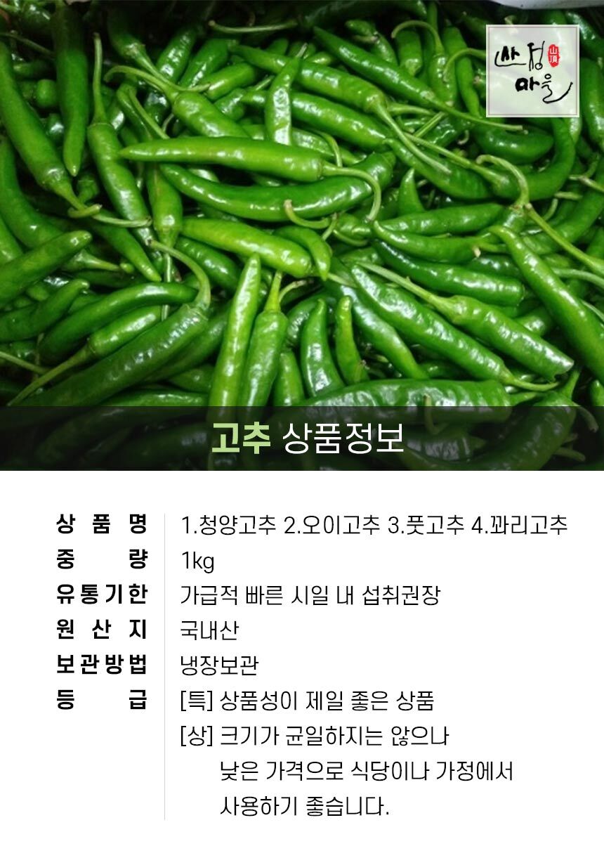 청양고추 오이고추 풋고추 꽈리고추 1Kg : 롯데On