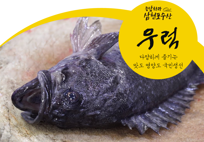 G마켓 - 국내산 손질 우럭 탕거리 남해안 조피볼락 우럭탕 1kg 3미사이즈 손질 750g