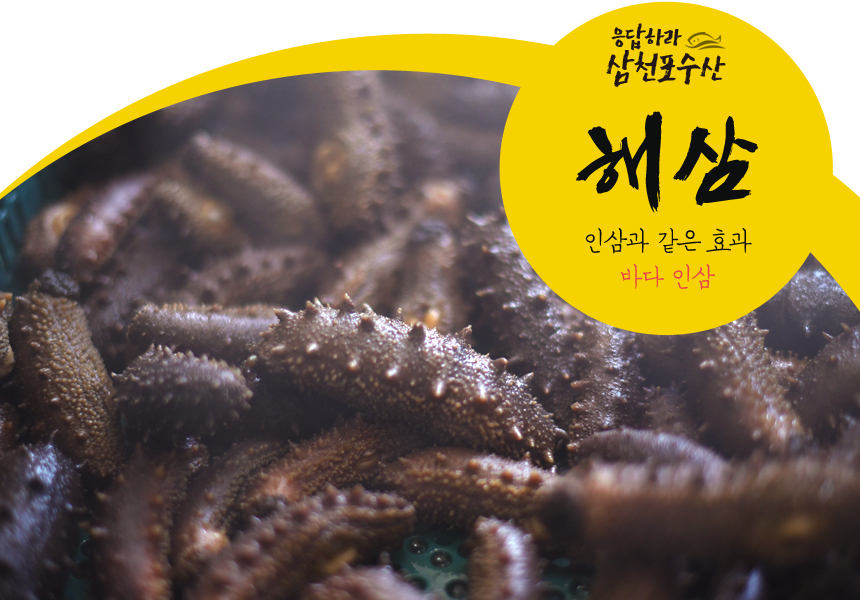 자연산 자숙해삼 100g 손질해삼 유산슬 중식요리 - 옥션