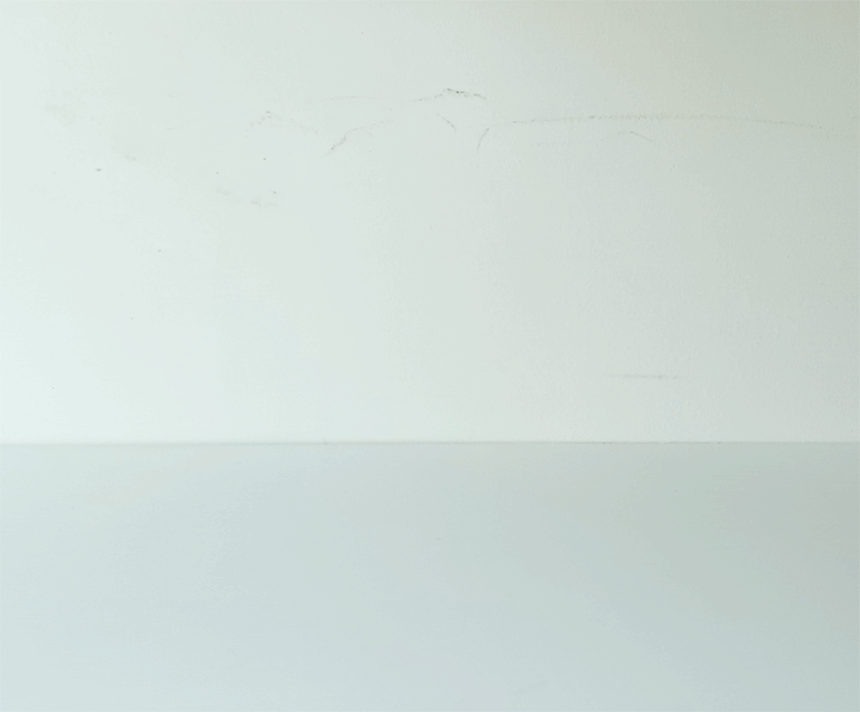 국내 생산 실리콘 도시락통 상세 이미지 10