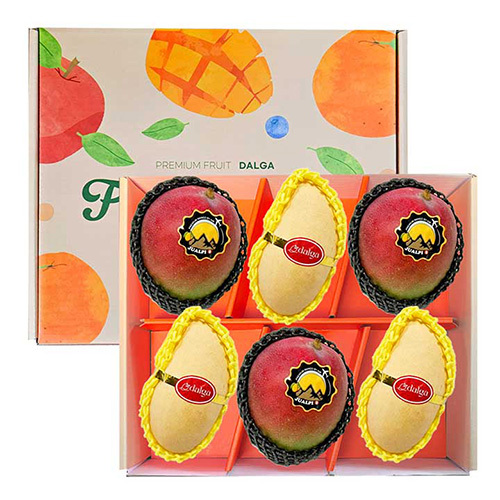 [후르츠팜] 애플망고3입+골드망고3입 선물세트 2.2kg내외