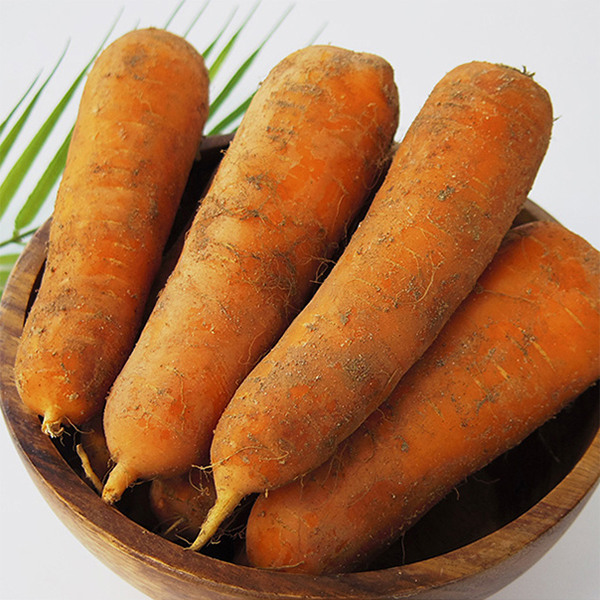 [경매직송] 국내산 제주 흙당근(중/상/특) 2Kg5kg