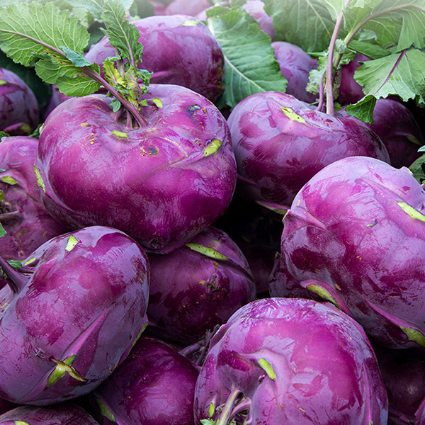 [경매직송] 제주 콜라비 2kg/3Kg/5kg