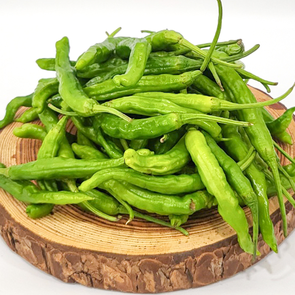 [경매직송] 국내산 꽈리고추 1Kg