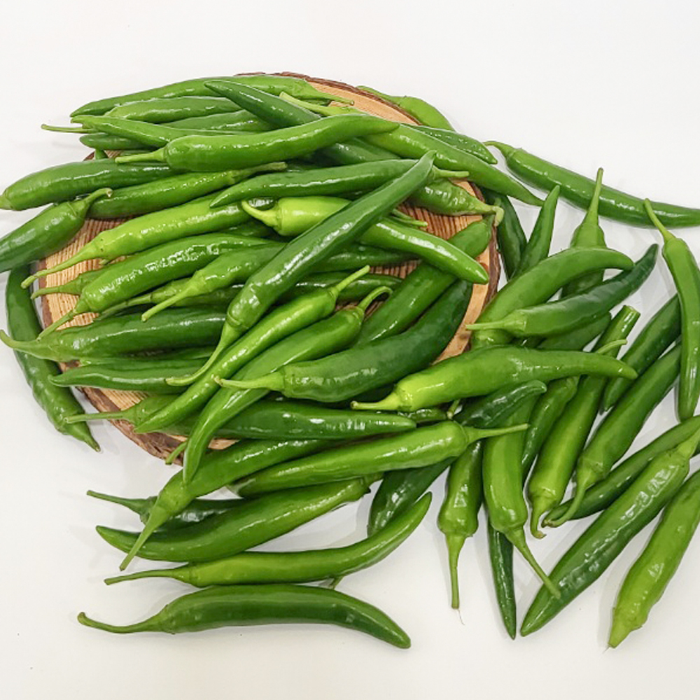 [경매직송] 국내산 풋고추 1Kg