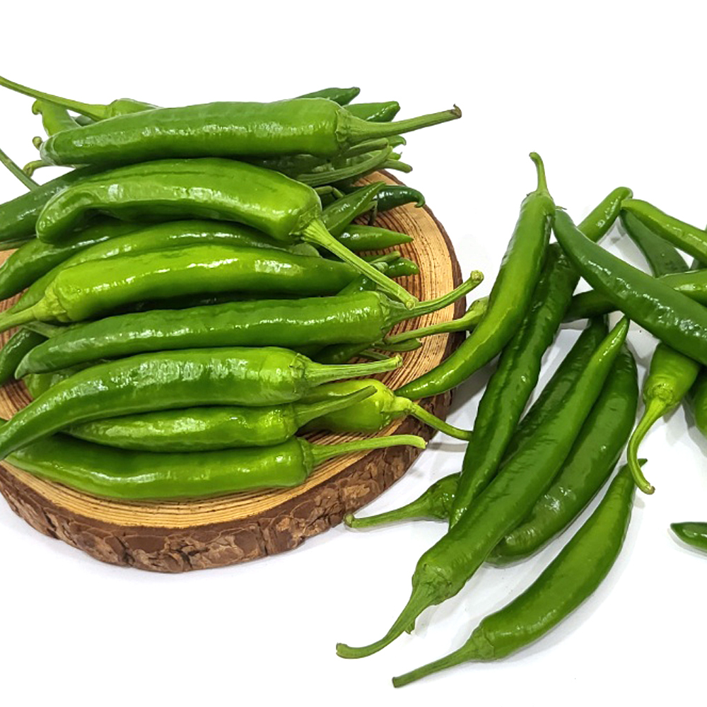 [경매직송] 국내산 오이맛고추 1Kg