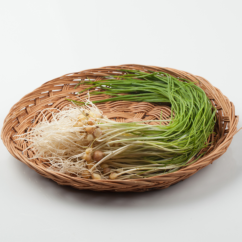 [경매직송] 국내산 달래 200g/500g