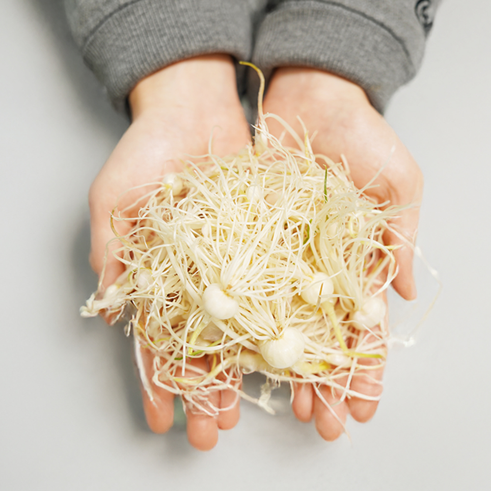 [경매직송] 국내산 은달래 200g/300g/500g 