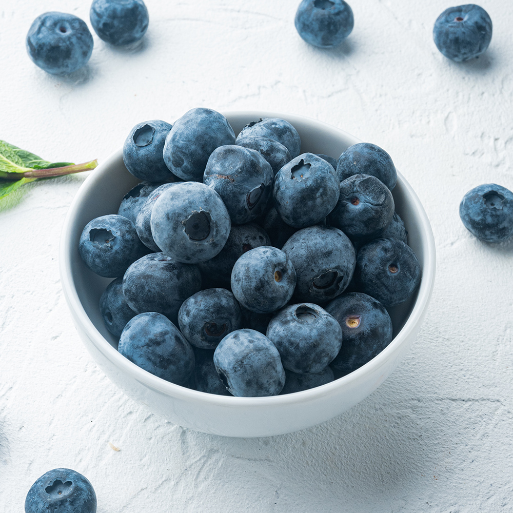 [경매직송] 유레카 블루베리 200g 사이즈선택