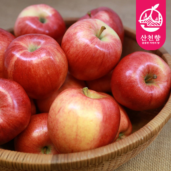 [산천향] 안동사과 꿀부사 (정품) 2kg/3kg5kg
