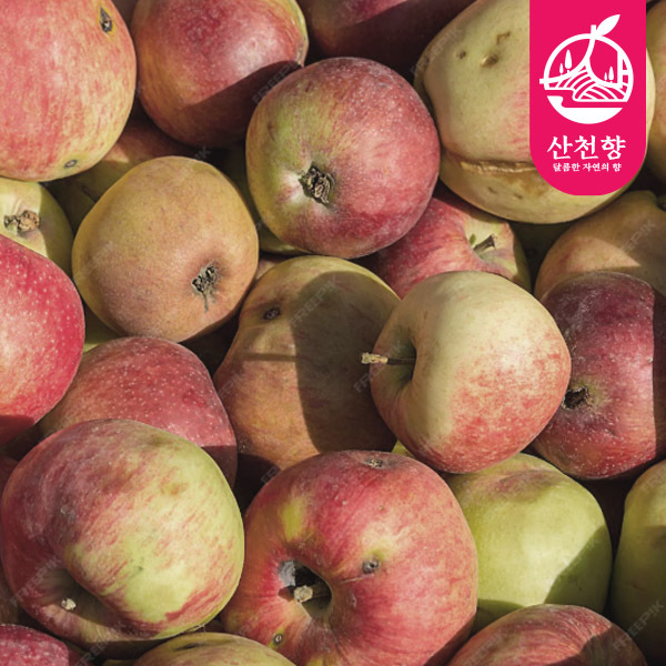 [산천향] 안동사과 꿀부사 (쥬스용) 3kg/6kg/10kg