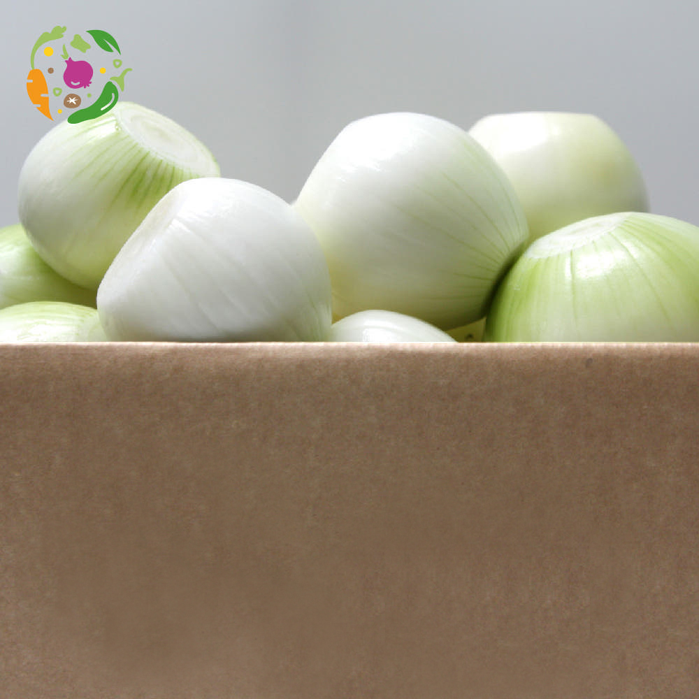 [새벽경매] 국내산 깐양파 (중/소,대/중, 특/대 혼합)