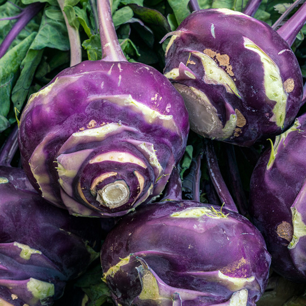 [새벽경매] 국내산 신선 콜라비 2kg/3kg/4kg/5kg/10kg/15kg