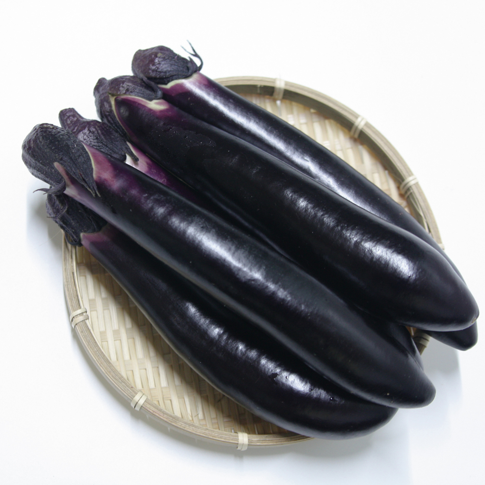 [새벽경매] 국내산 가지(특상품) 1kg/2kg/4kg